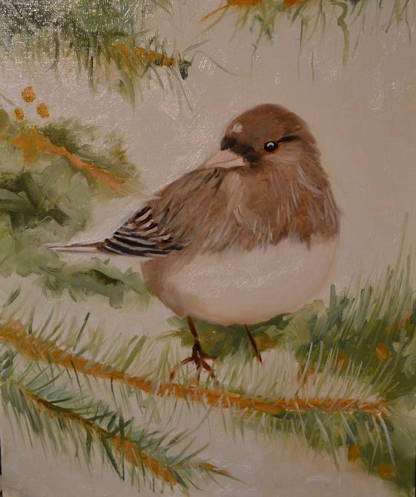 Junco